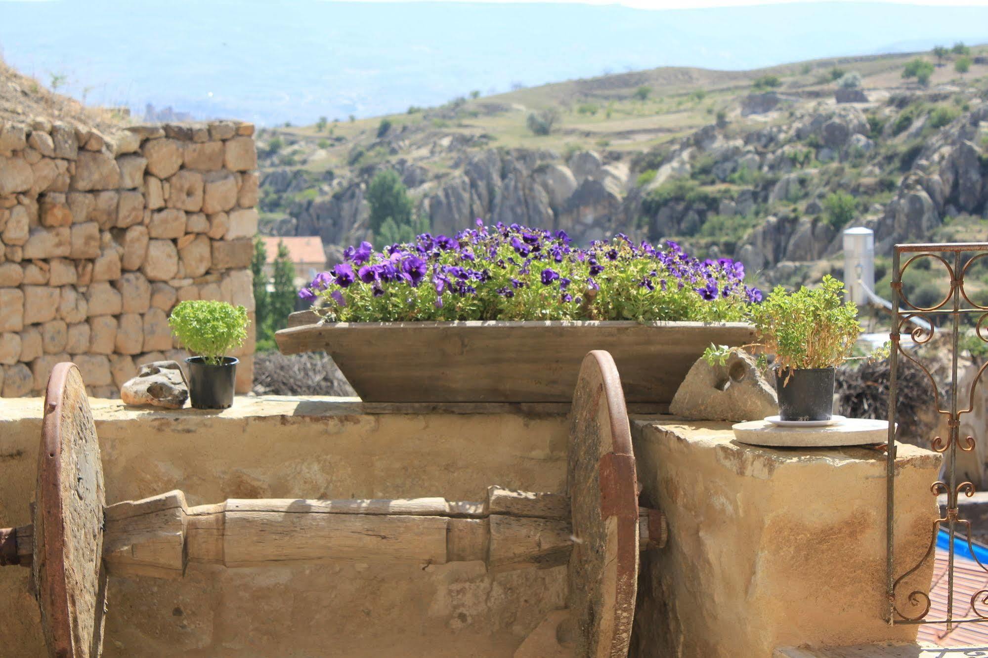 Anitya Cave House Apart Hotel Ortahisar Εξωτερικό φωτογραφία